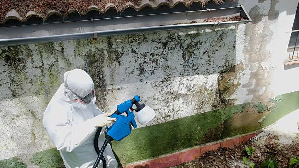 Trusted Bathroom Mold Removal service in Duluth, GA - Cheap Mold Removal